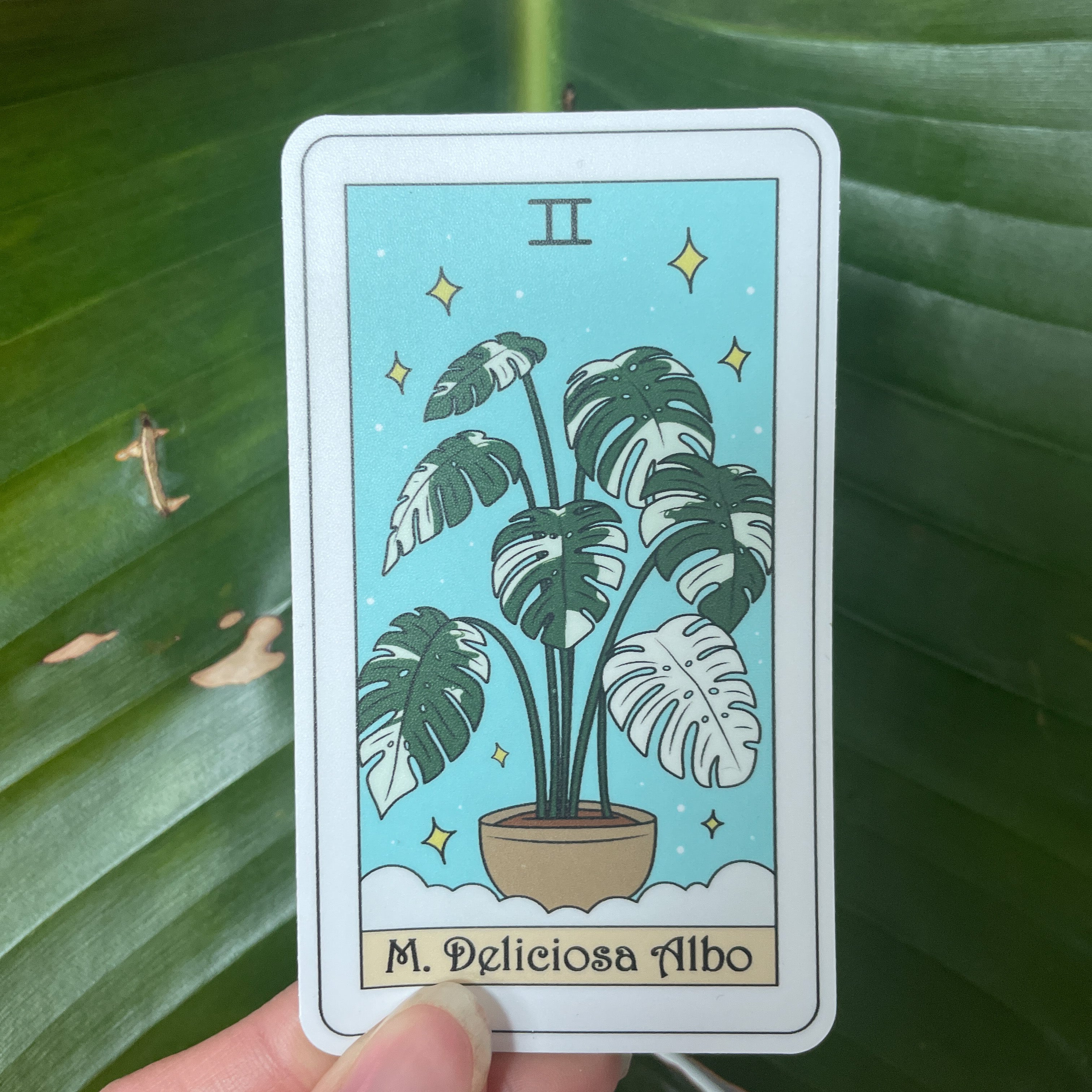 Monstera Deliciosa Albo Botanical Tarot Sticker – Yaga Botanica