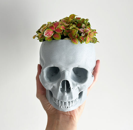 3D printed skull planter with drainage