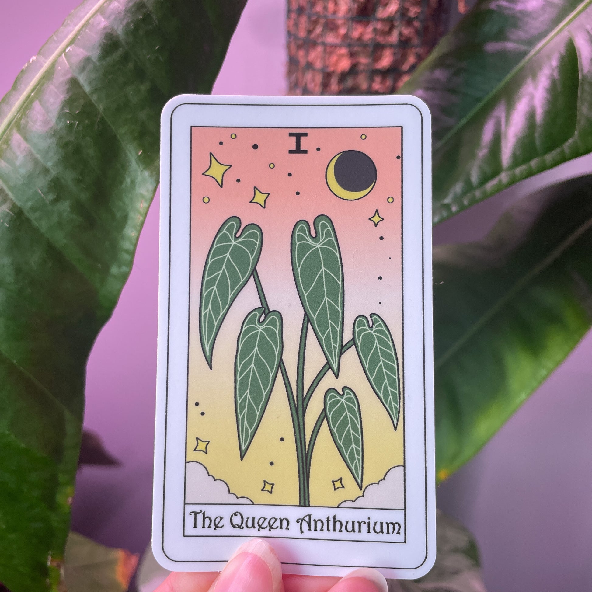 Queen Anthurium Botanical Tarot Sticker – Yaga Botanica